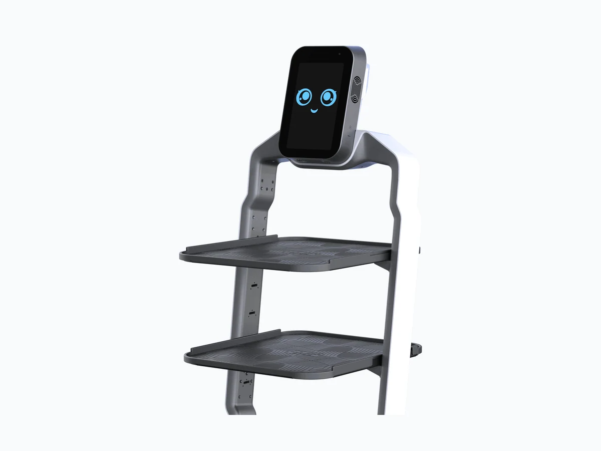 OrionStar LuckiBot product image